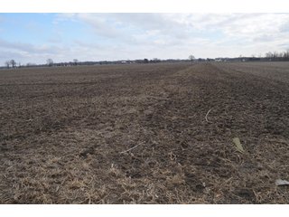 Property photo 40 - 173 +/- Acres Offered in 3 Tracts - Ohio Farmland